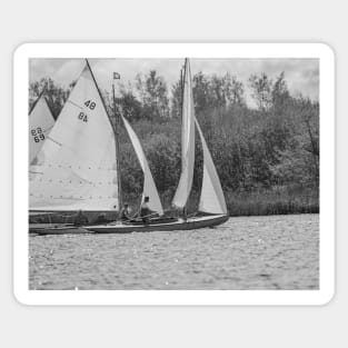 Racing boats on Wroxham Broad, Norfolk Sticker